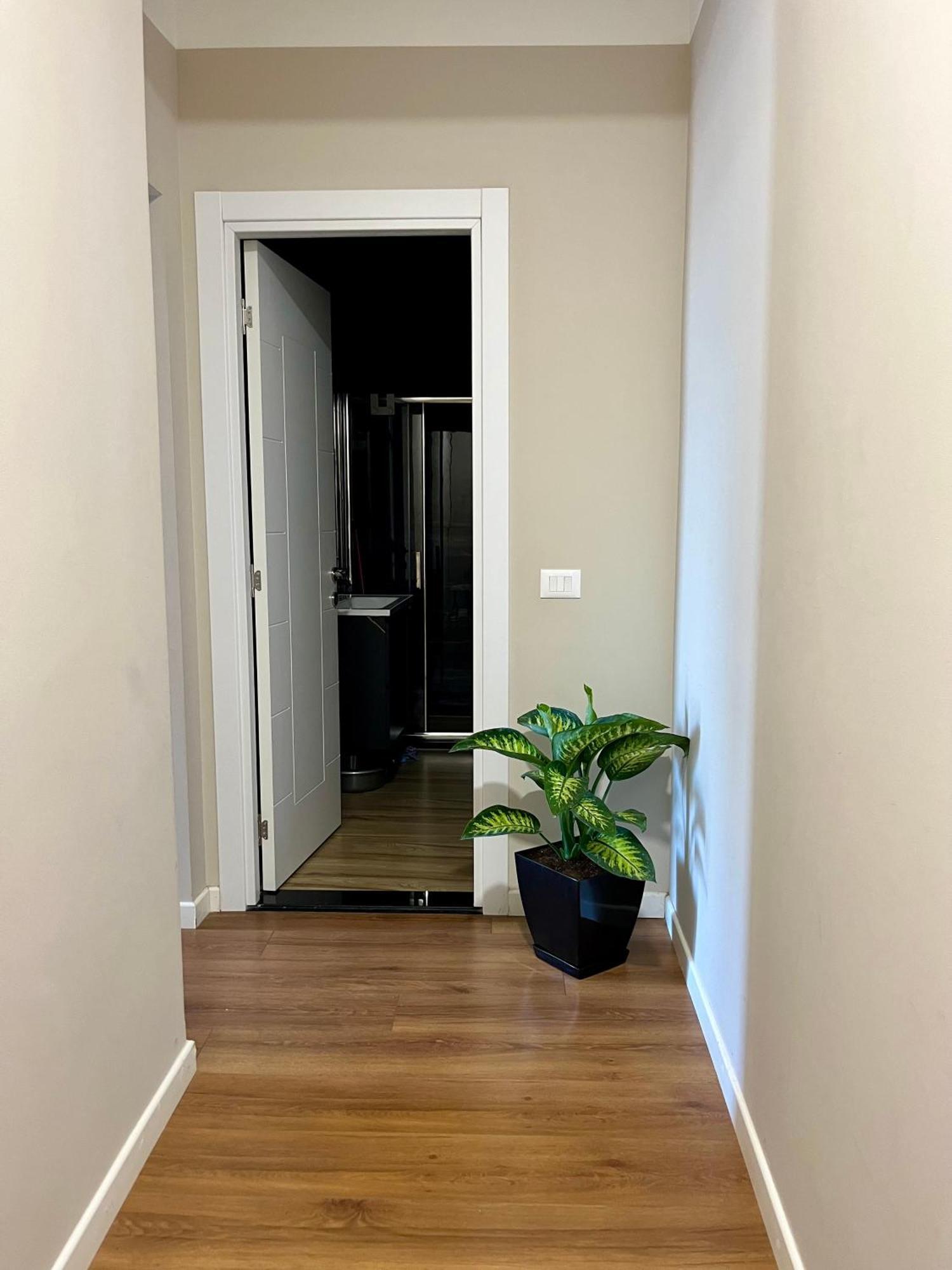 City Center Cozy Apartment Tiranë Ngoại thất bức ảnh